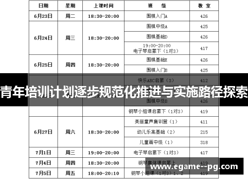 青年培训计划逐步规范化推进与实施路径探索