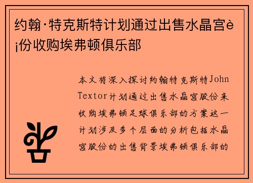 约翰·特克斯特计划通过出售水晶宫股份收购埃弗顿俱乐部
